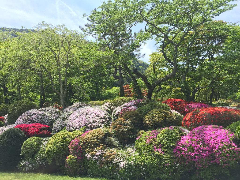 Hakone Kowakien Miyamafurin Hotel Luaran gambar