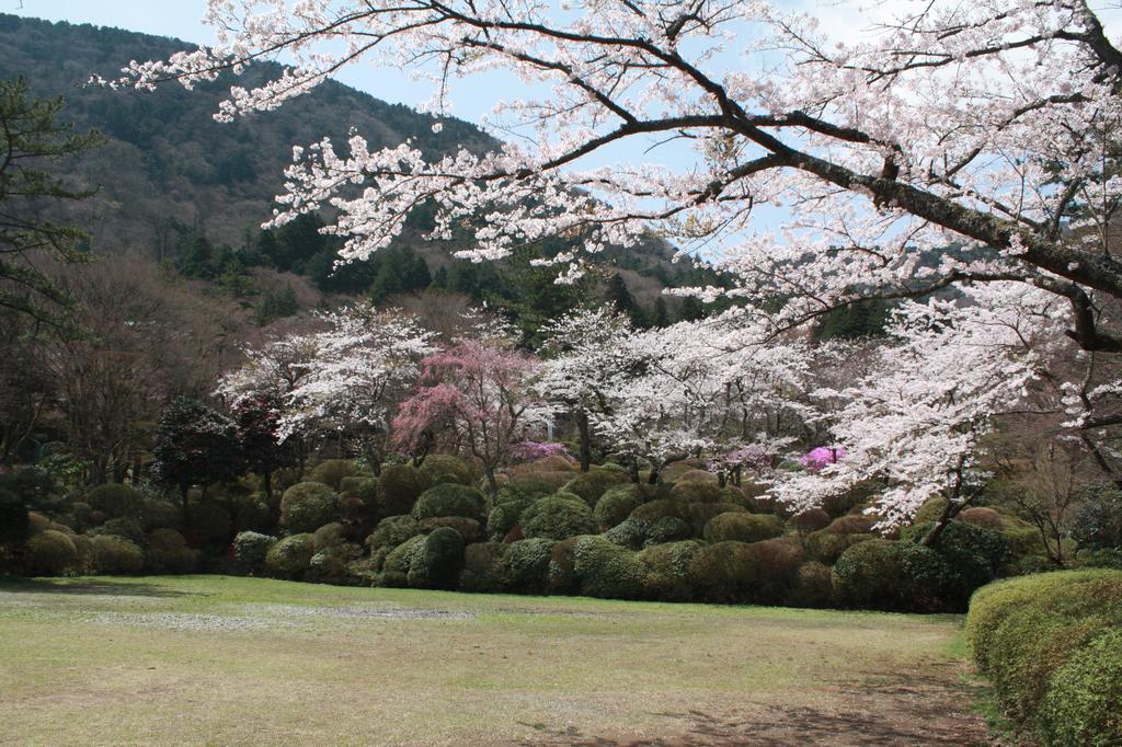 Hakone Kowakien Miyamafurin Hotel Luaran gambar