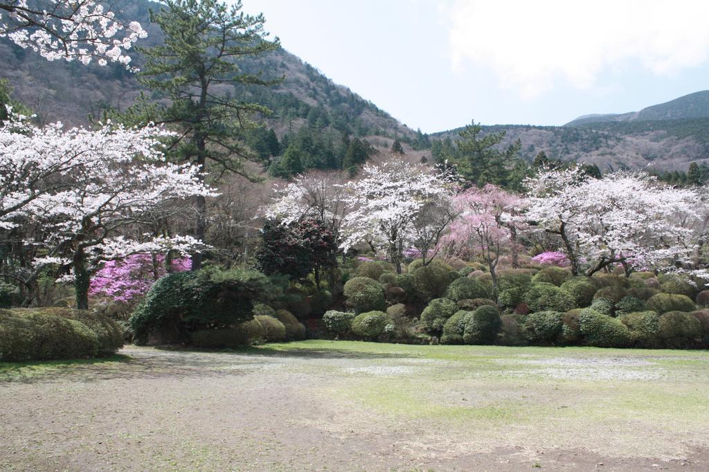 Hakone Kowakien Miyamafurin Hotel Luaran gambar